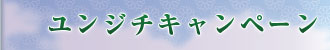 建売特別販売中